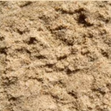 sandy