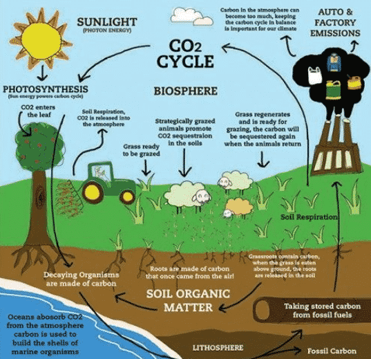 soil-carbon-sequestration-e1652976709997